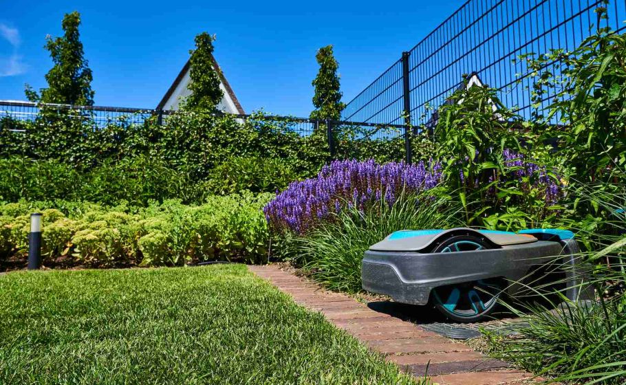 waalformaat naast gazon met robotmaaier en begroeiing