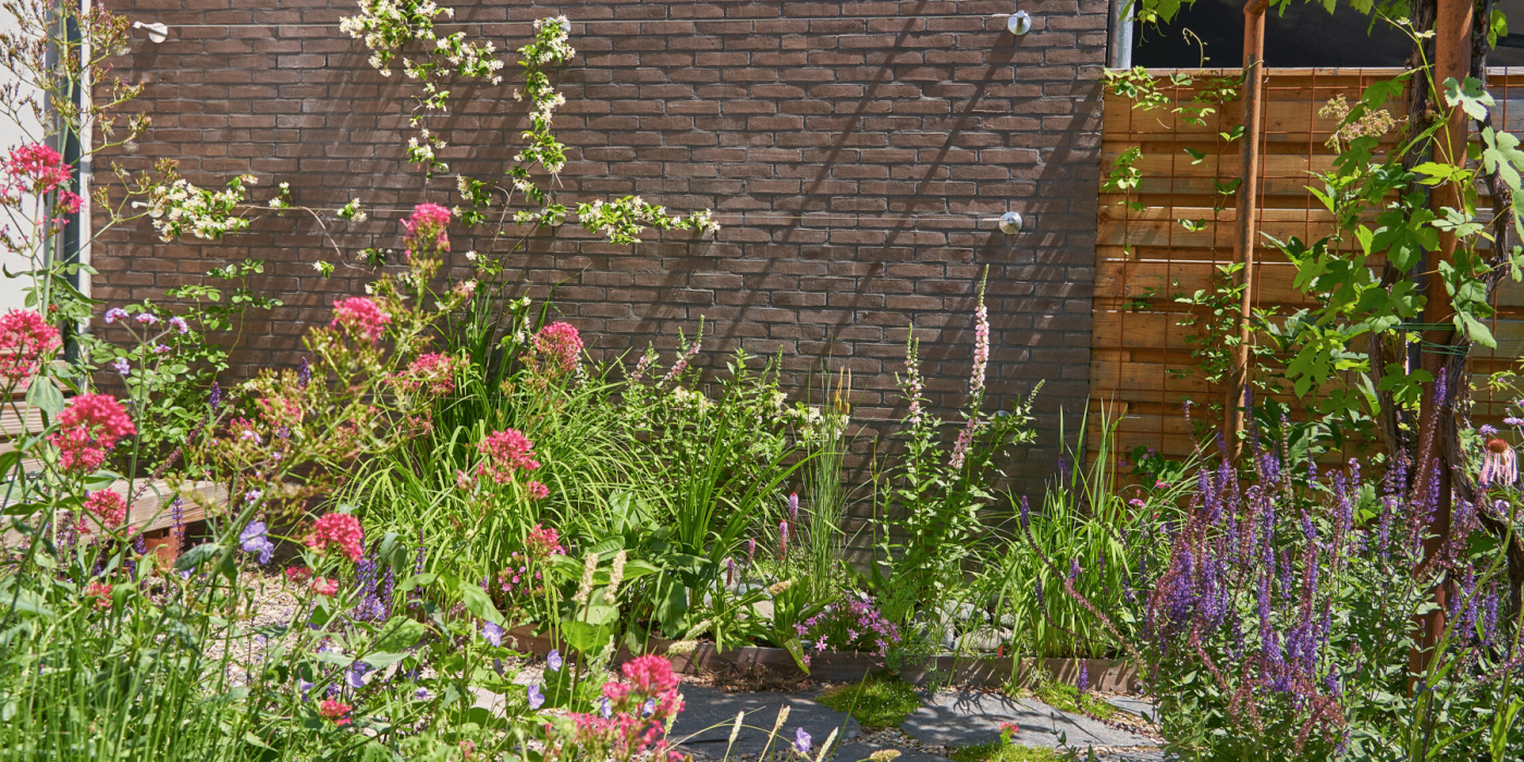 6 gouden tips voor tuinonderhoud in de zomer