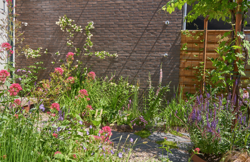 6 gouden tips voor tuinonderhoud in de zomer