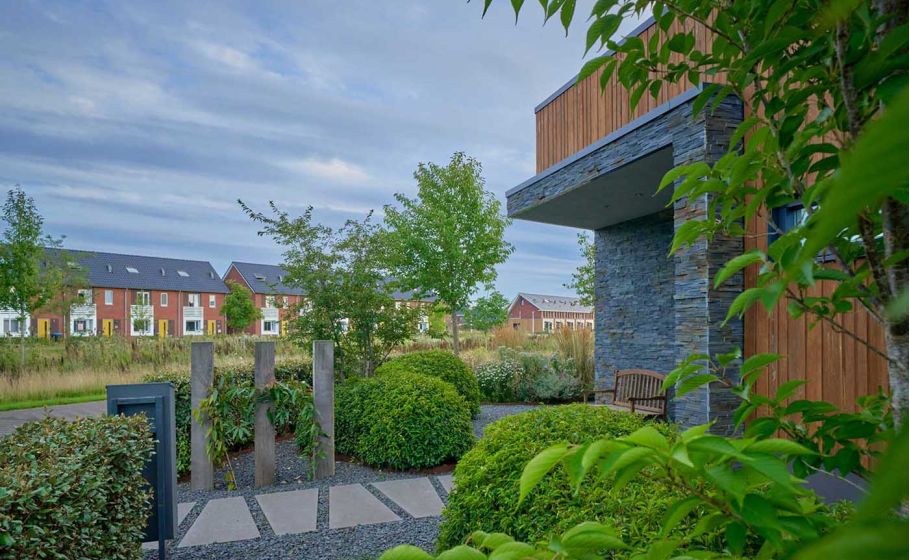 Beplanting voor een gezonde leefomgeving